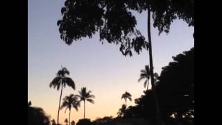 Hammock Swinging Hawaii