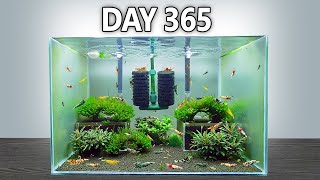 I Made a Tiny Ecosystem for Caridina Shrimp (And Let it Grow for 1 Year)