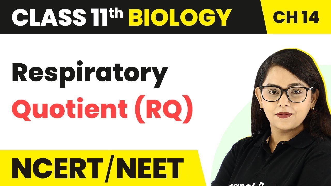 Respiratory Quotient (RQ) - Respiration in Plants | Class 11 Biology Chapter 14 NCERT/NEET