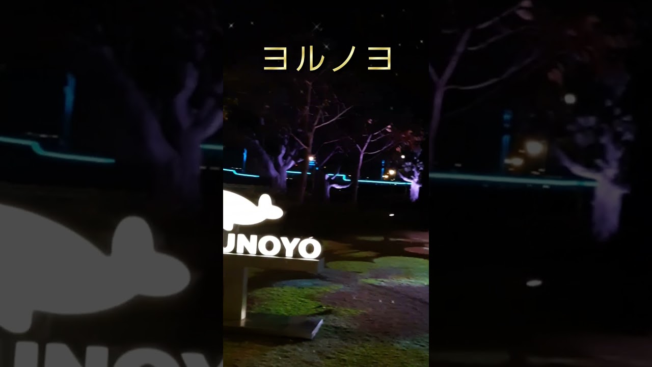 ヨルノヨ2025⛴️夜にあらわれる光の横浜　#山下公園 #イルミネーション