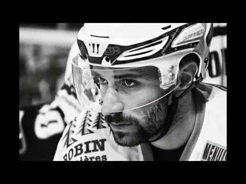 ducs angers, les ducs d'angers, angers hockey, asga angers, ligue magnus, ffhg, bagarre hockey