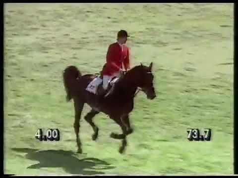 Jos Lansink - Libero H - Stockholm 1990