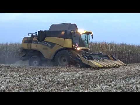 Casier: Mais dorsen.