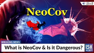 What is NeoCov & Is it Dangerous?