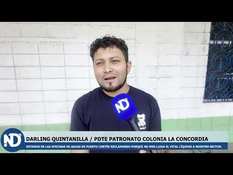 DARLING QUINTANILLA / PDTE PATRONATO COLONIA LA CONCORDIA
