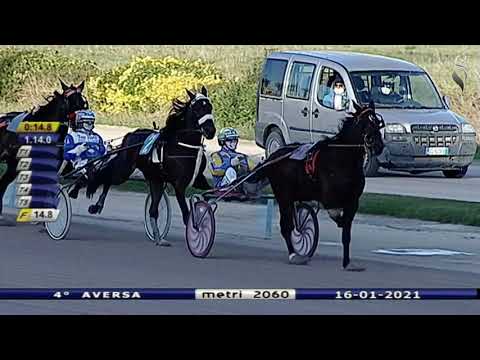 Aversa trotto 16 Gennaio 2021 - 4° Corsa