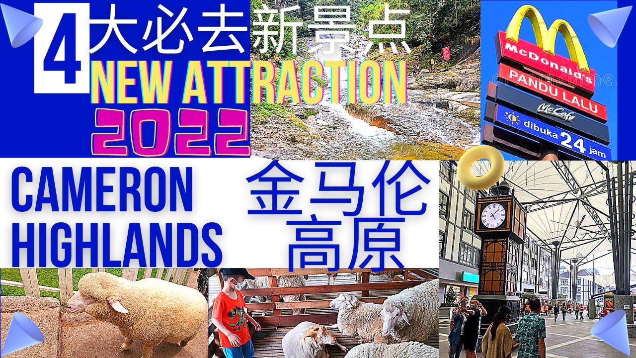 【4大金马伦高原 旅游新景点】New Places CameronHighlandsMalaysia ★Sheep Farm,McDonald's Brinchang,CameronCentrum★