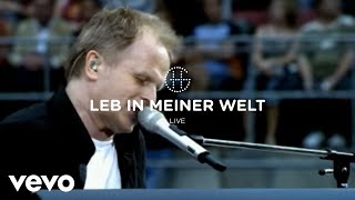 Herbert Grönemeyer - Leb in meiner Welt (Live)