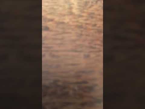 SB 4.22.31 INTEGRITY