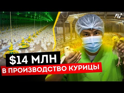 , title : 'Бизнес на Производстве Курицы: Уникальная Безотходная Птицефабрика [в Кыргызстане]'