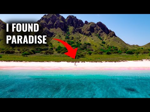 KOMODO NATIONAL PARK - THE MOST BEAUTIFUL PLACE IN INDONESIA (2021 SAILING TRIP)