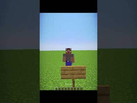 Minecraft F3 Commands Moment