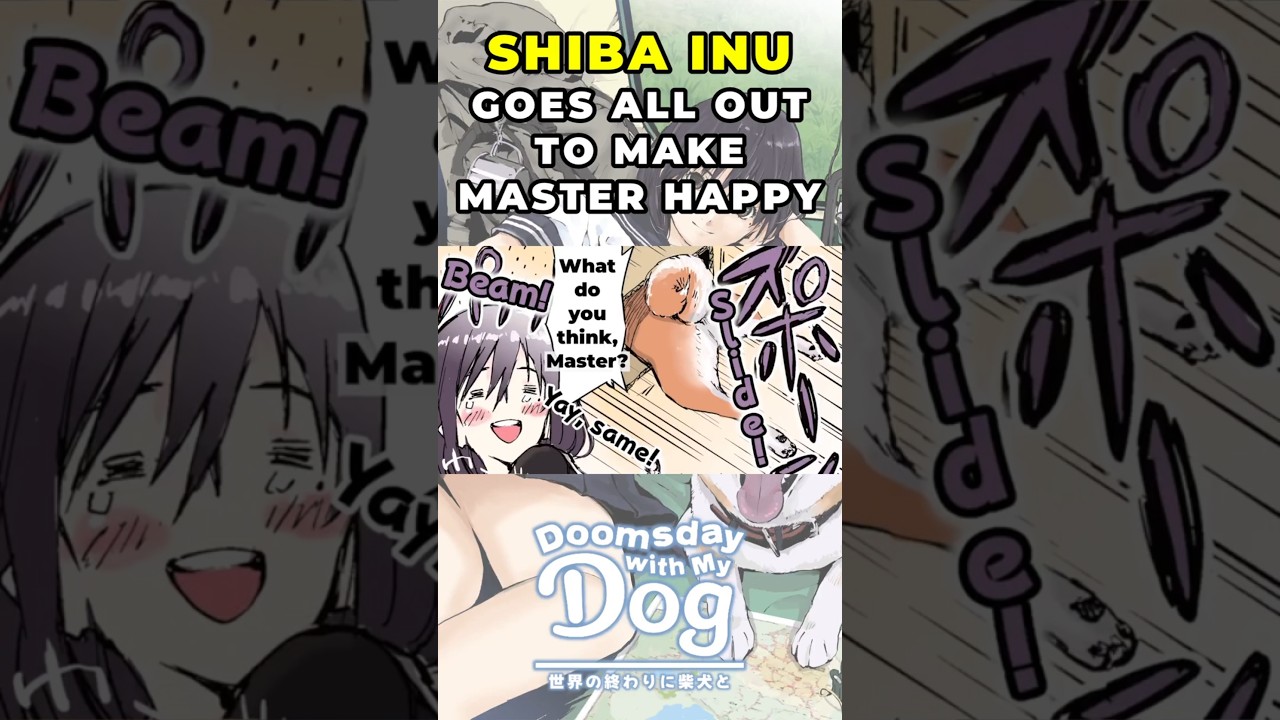 Shiba Inu GOES ALL OUT to Act Like a Cat for High School Girl | ENG SUB #DoomsdayWithMyDog #shorts