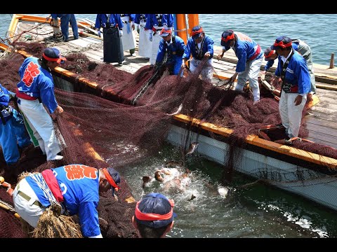 2024年 鞆の浦 観光鯛網　ダイジェスト