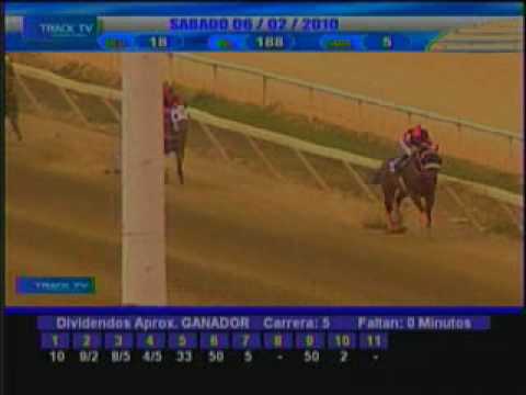 Resumen Sábado 6 de Marzo 2010 - La Rinconada