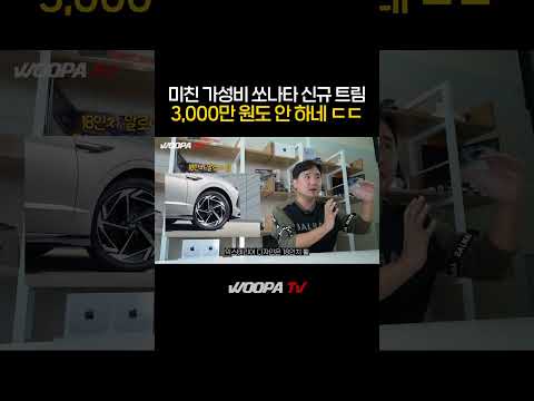 딱 3천에 쏘나타 가성비로 타는 법