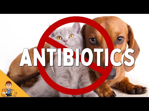 The 5 Most Common Diseases Where Antibiotics Are NOT Needed (so stop asking for them!)