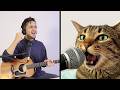 The Kiffness Serafino Singing Cat Song