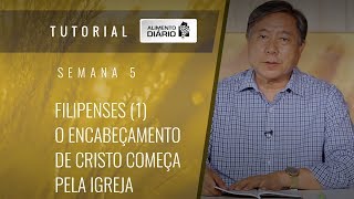 1° Vol. AD Semana 04 - Romanos[4]