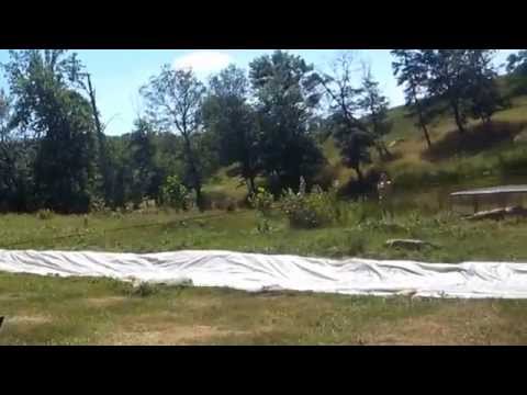 The Main Event at the Human Slingshot Slip N Slide