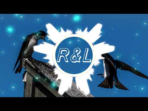 Tião Carreiro & Pardinho - O Gavião e a Andorinha [High Quality]