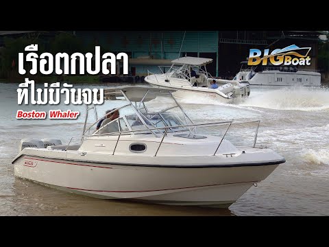 The unsinkable fishing boat Boston Whaler [Let's go see] EP. 270
