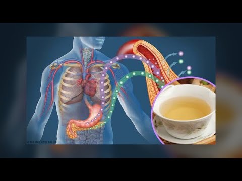 Ein Hämoglobin bei Diabetes Typ-1-Diabetes Ernährung