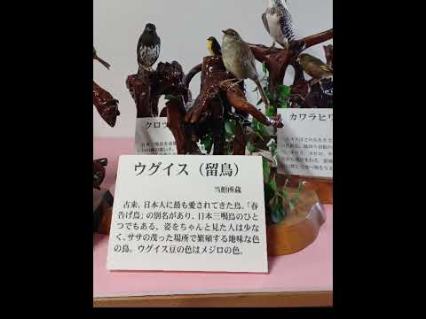 IUCN分類における絶滅の危険性を示す図。