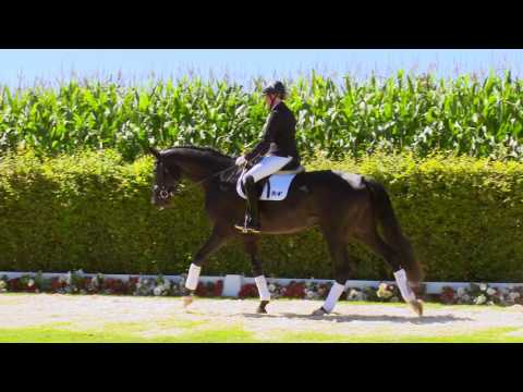 30  Four Seasons  Stute v. For Romance I - His Highness