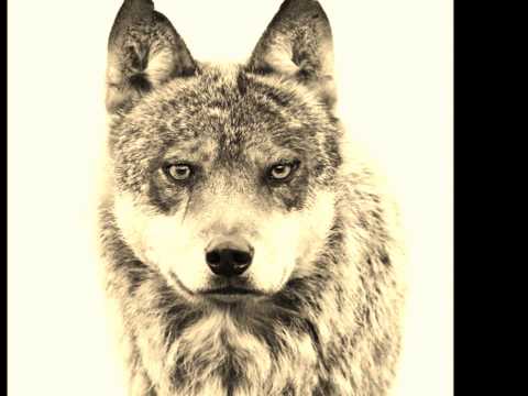 My Dream feat. The Wizard Brian Cox (iamkaimu remix)