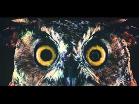 Karl-K - Owls Of The Night (Official Videoclip)