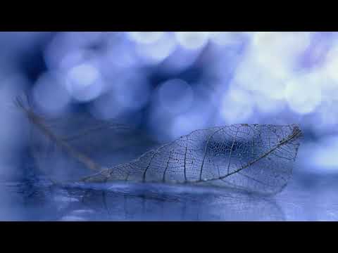 Pico Bussoli: Monkey Mind (Original Mix)