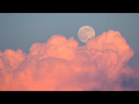 2 Hours Of Heavenly Playboi Carti x Adrian Type Beats By MPM Beats