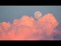 2 Hours Of Heavenly Playboi Carti X Adrian Type Beats By MPM Beats