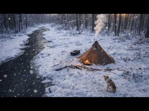 Winter silence between the rivers | Camping in the cold with a dog