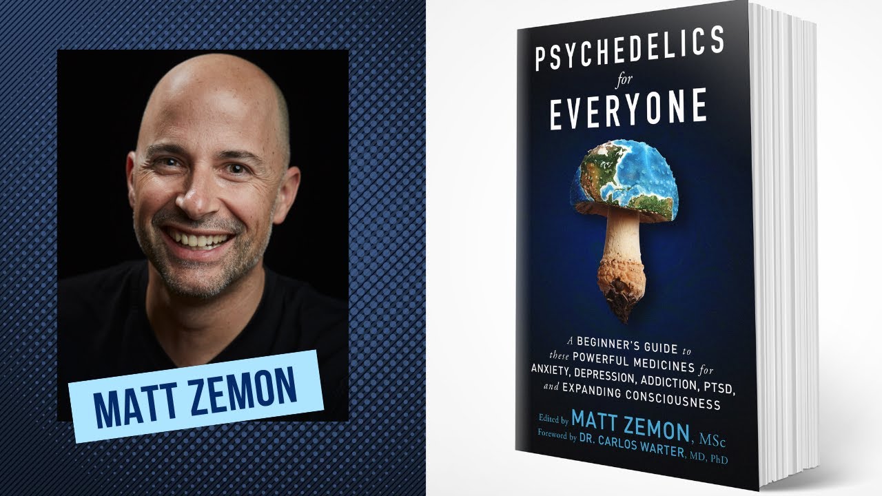 Beginner's Guide to Psychedelic Drug Therapy