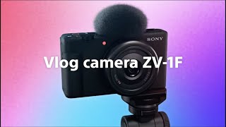 Sony ZV-1F Vlogging Camera (Black) (ZV1FB) + Case + 64GB Card + 2 x NP-BX1  Battery + Card Reader + Corel Photo Software + LED Light + Charger + Flex