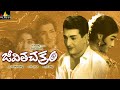 Jeevitha Chakram Telugu Full Movie | NTR, Vanisri, Sarada | Sri Balaji Video