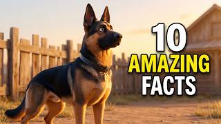 10 Facts About German Shepherds That'll Surprise You