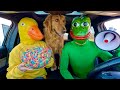 Rubber Ducky Surprises Frog Puppy With Car Ride Chase