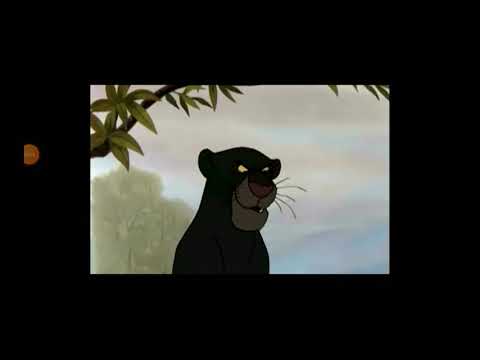 Mammal Story 3: Bagheera Jekyll and Bagheera Hyde