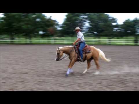 SOLD: Shine Chic Shine x Dolled Up Gunner