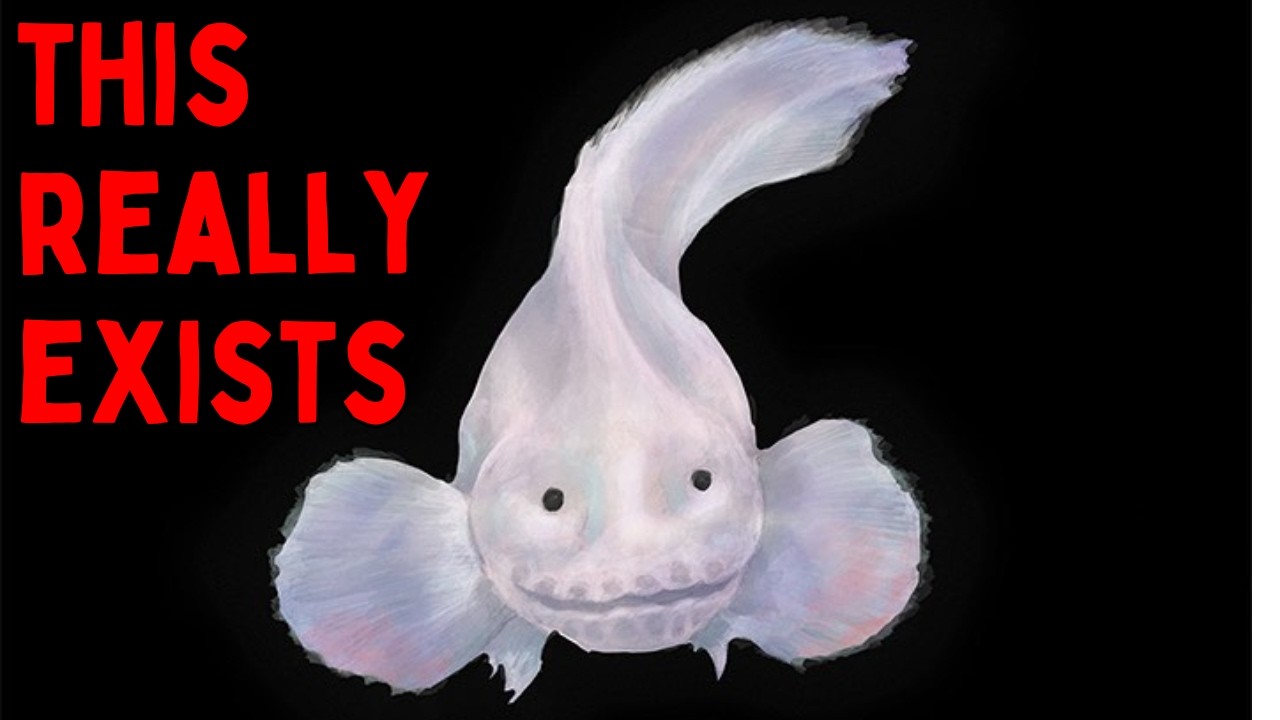 Life At The Bottom Of The Ocean Is Stranger Than You Think