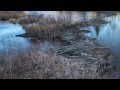 Re-introducing Beaver on the Escalante River Watershed in Utah