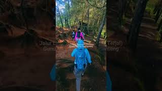 Download lagu Jalur Lama Prau 😱 POS 2 ke POS 3 Terjal Boskuh! mp3