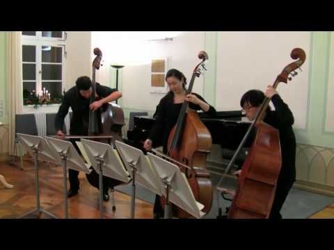 Boguslaw Furtok Double Bass Trio No1 I mov
