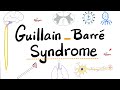 Guillain Barré Syndrome Acute Inflammatory Demyelinating Polyradiculoneuropathy AIDP Neurology