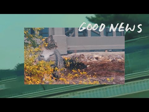 Video thumbnail for ​good news