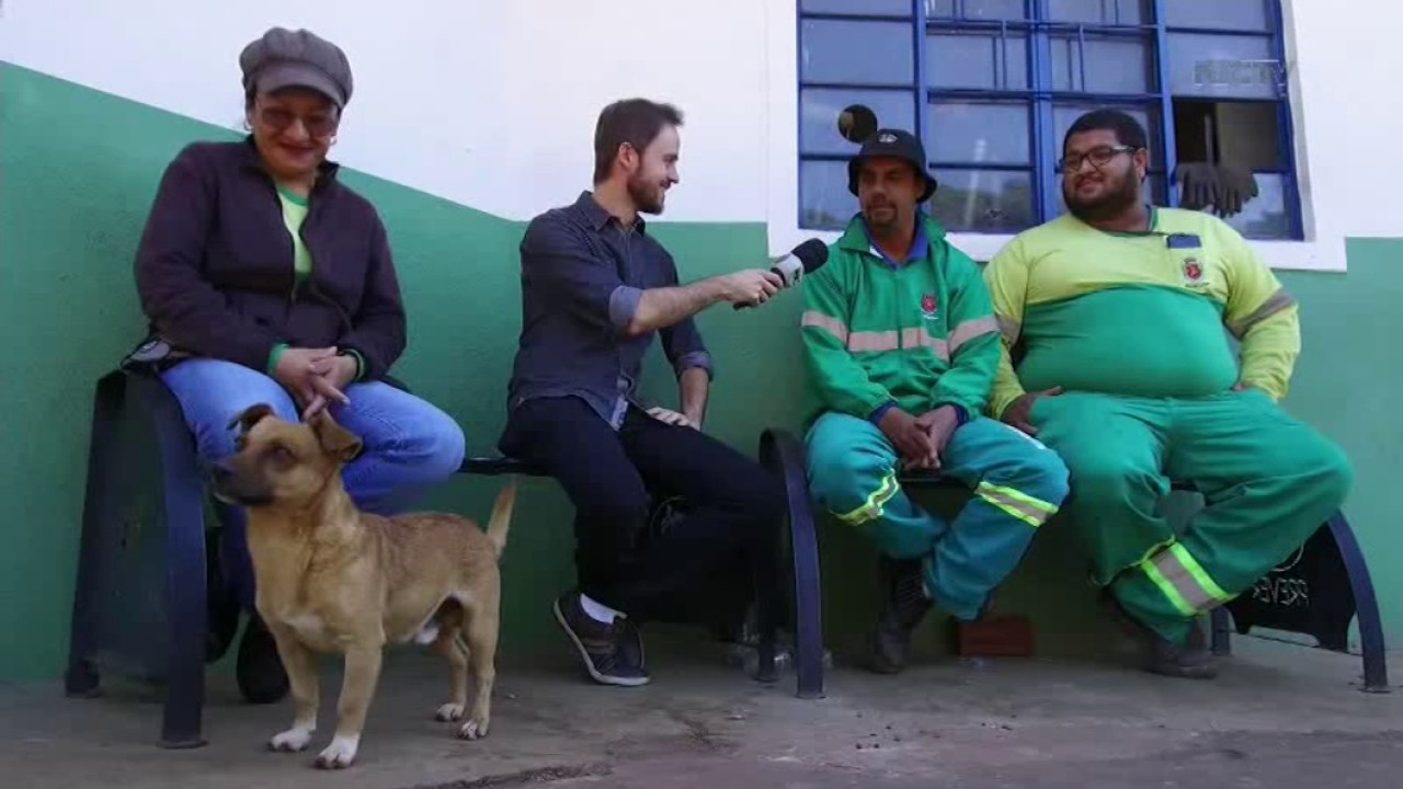 Cão vira mascote do cemitério municipal de Maringá