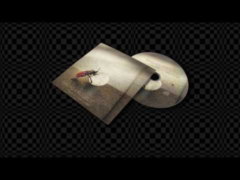 Singas Project - I Can Fly